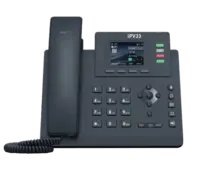 IPV33-img2-400x384-1